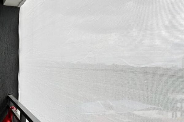 Untitled design (7)